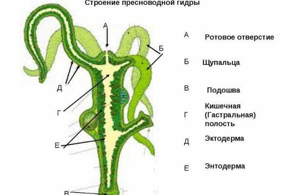 Ссылка на сайт кракен в тор